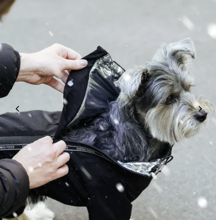 Canada Pooch Canada Pooch - Snowsuit