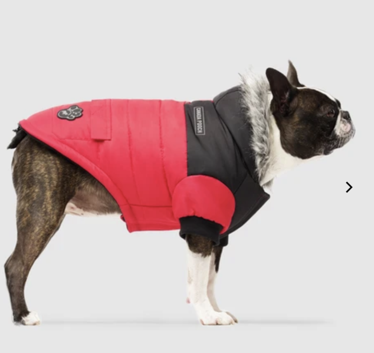 Canada Pooch Canada Pooch - True North Parka