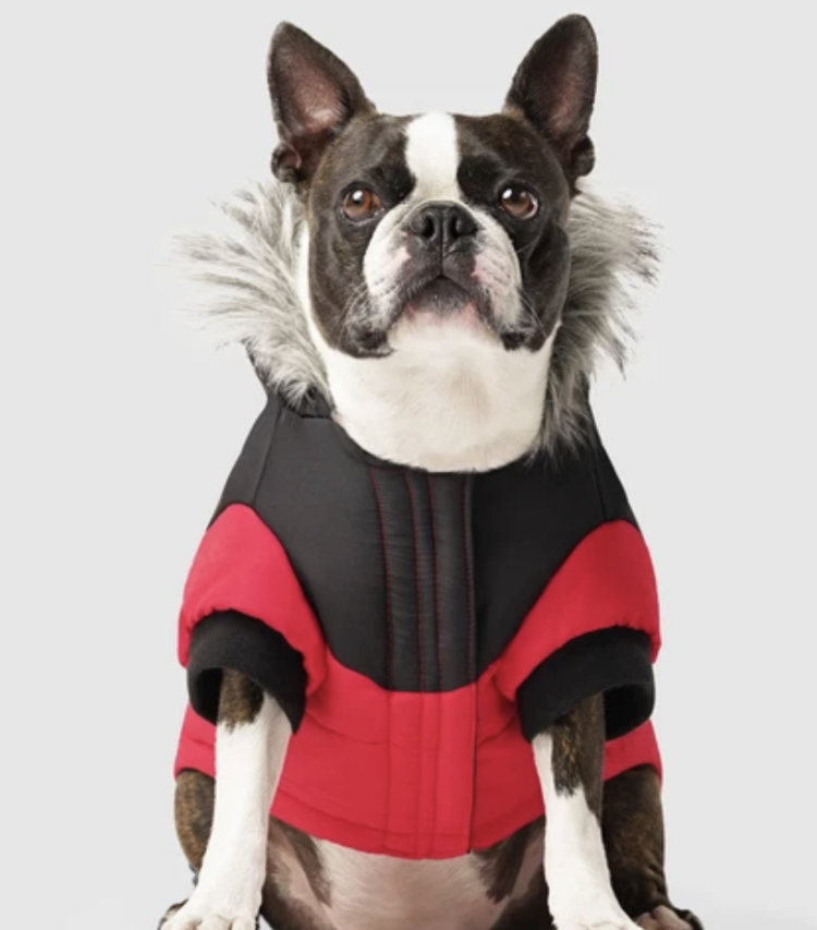 Canada Pooch Canada Pooch - True North Parka