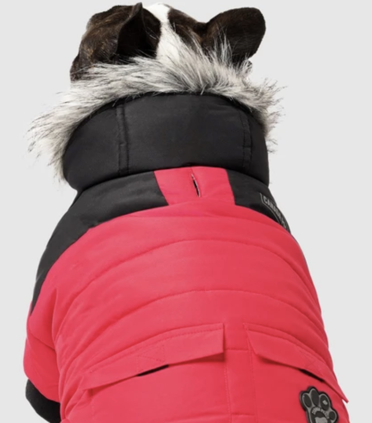 Canada Pooch Canada Pooch - True North Parka