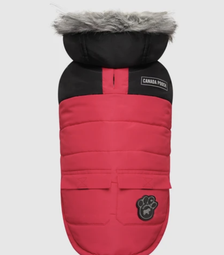 Canada Pooch Canada Pooch - True North Parka