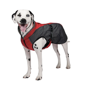 ShedrowK9 Shedrow - Chinook - Red