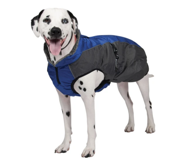 ShedrowK9 Shedrow - Chinook - Blue