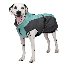 ShedrowK9 Shedrow - Chinook - Mint