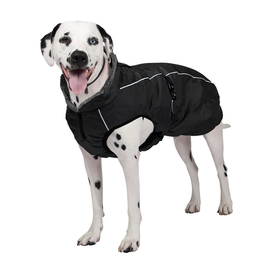 ShedrowK9 Shedrow - Chinook - Black