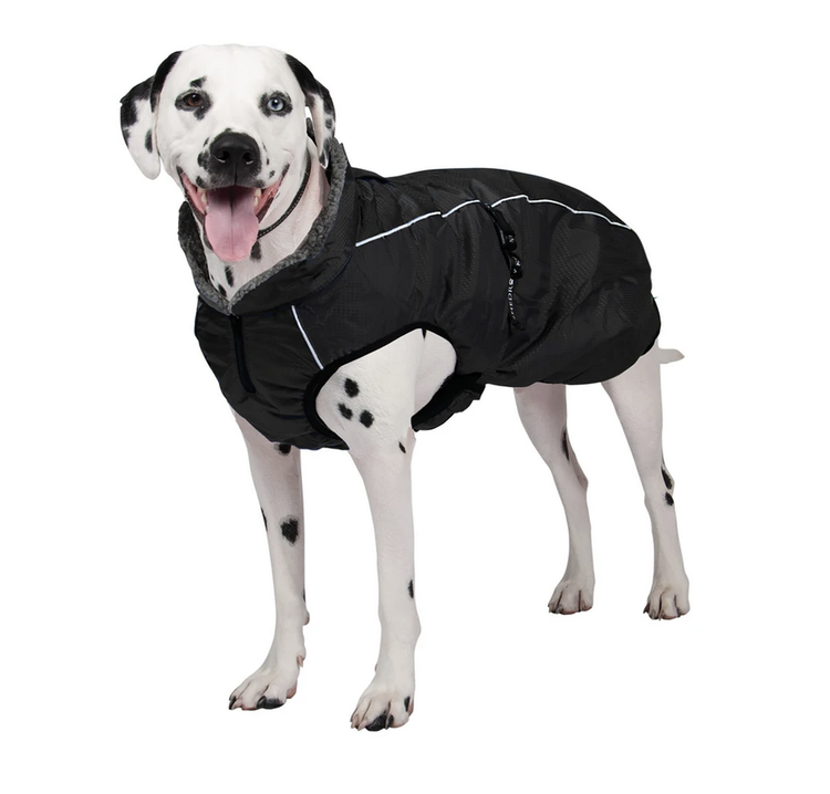 ShedrowK9 Shedrow - Chinook - Black