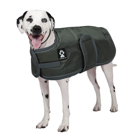 ShedrowK9 Shedrow - Tundra - Deep Linchen Green