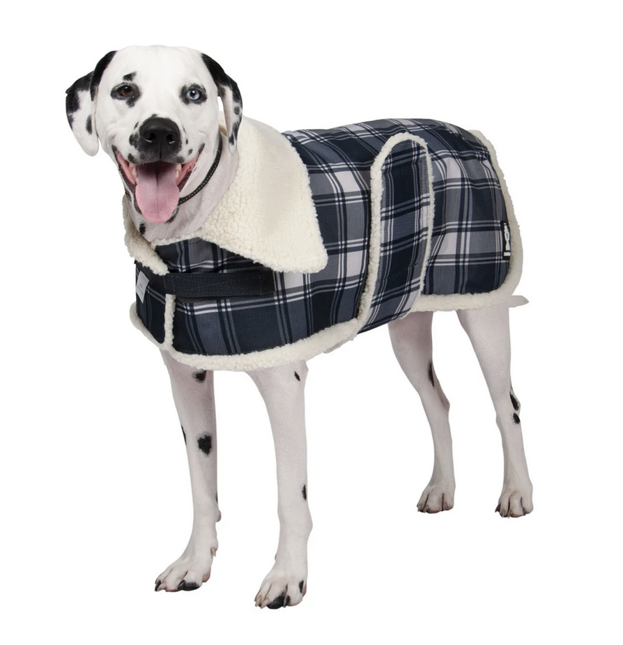 ShedrowK9 Shedrow - Aspen - Charcoal Plaid