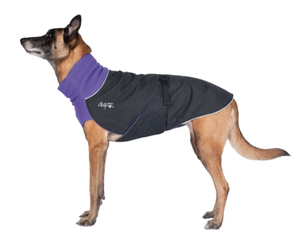 Chilly dogs great clearance white north
