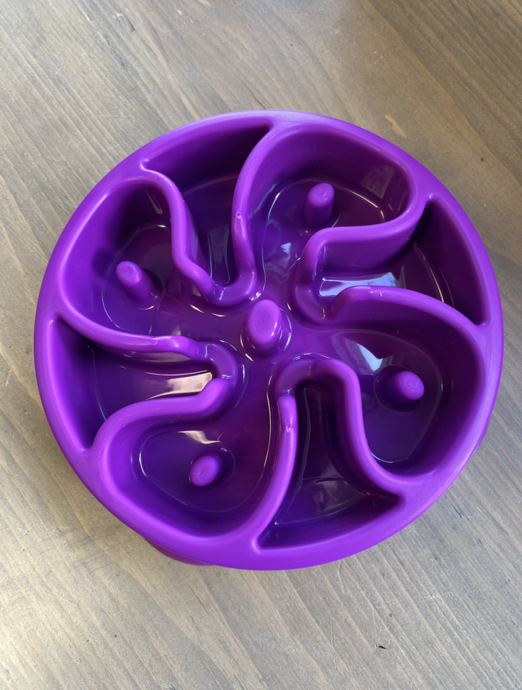 Outward Hound Outward Hound - Fun Feeder - Purple