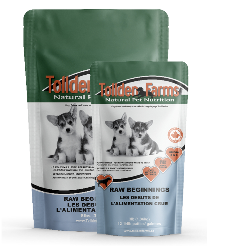 Tollden Tollden Farms - Raw Beginnings - Puppy