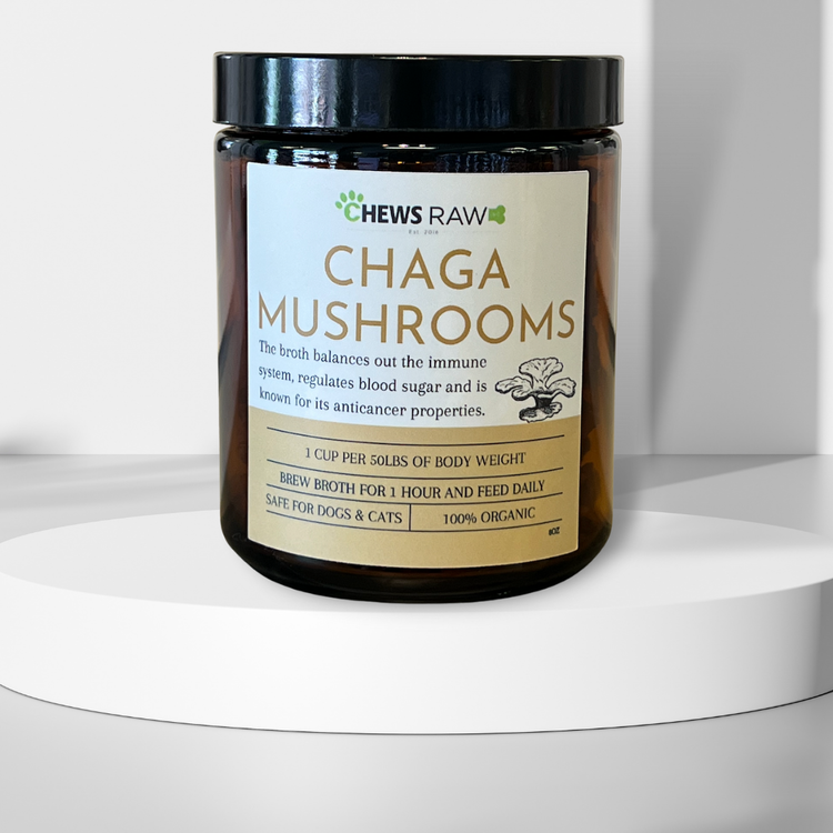 Chews Chews - Chaga Mushrooms - 60g