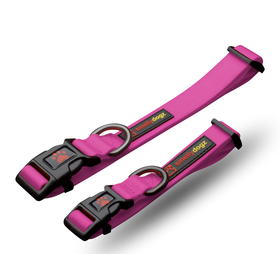 Smellydogz Smellydogz - Collar - Pink