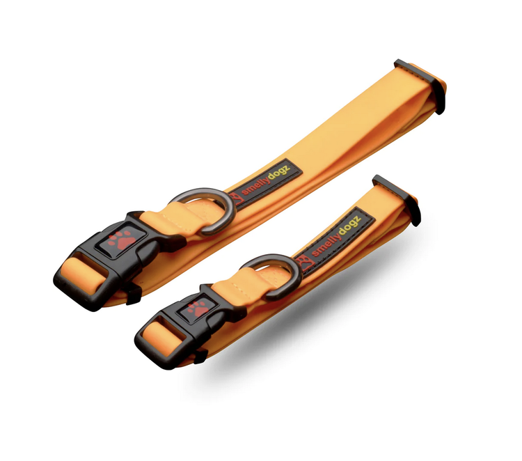 Smellydogz Smellydogz - Collar - Orange