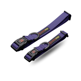 Smellydogz Smellydogz - Collar - Purple