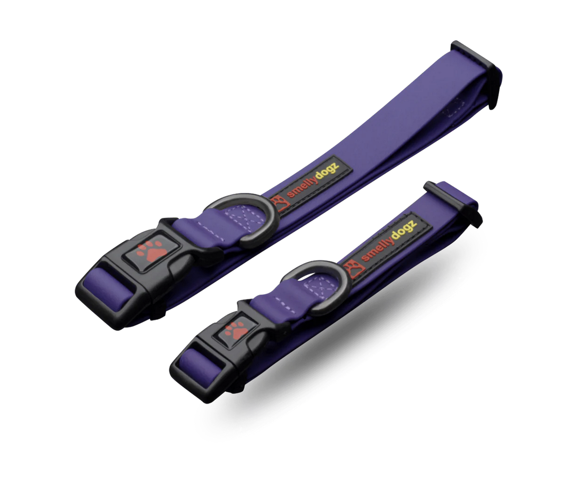 Smellydogz Smellydogz - Collar - Purple