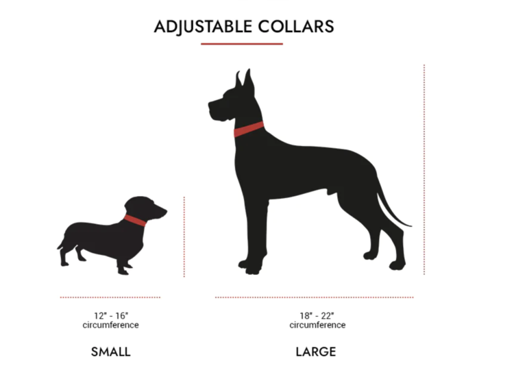 Smellydogz Smellydogz - Collar - Purple