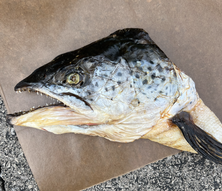 The Proper K9 Proper K9 - Salmon Head - Half (1pc)