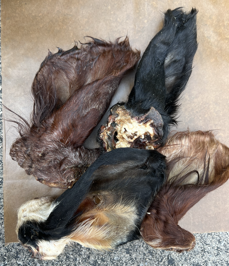 The Proper K9 Proper K9 - Cow Ear w/ Fur (1pc)