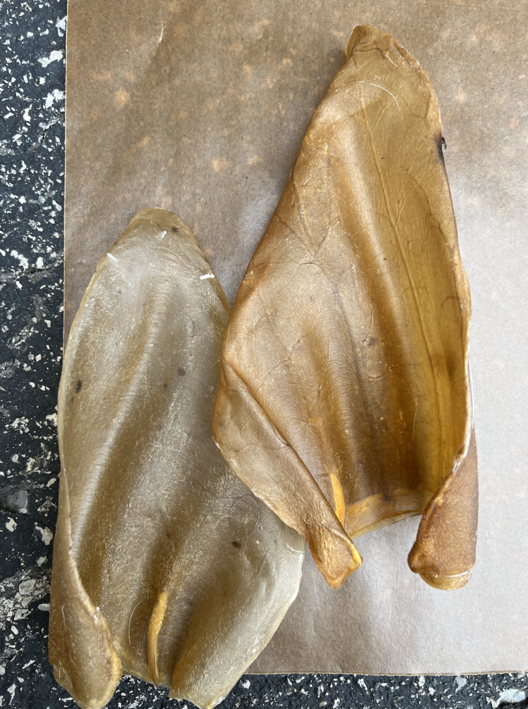 Nature's Own Nature's Own - Cow Ear (1pc)