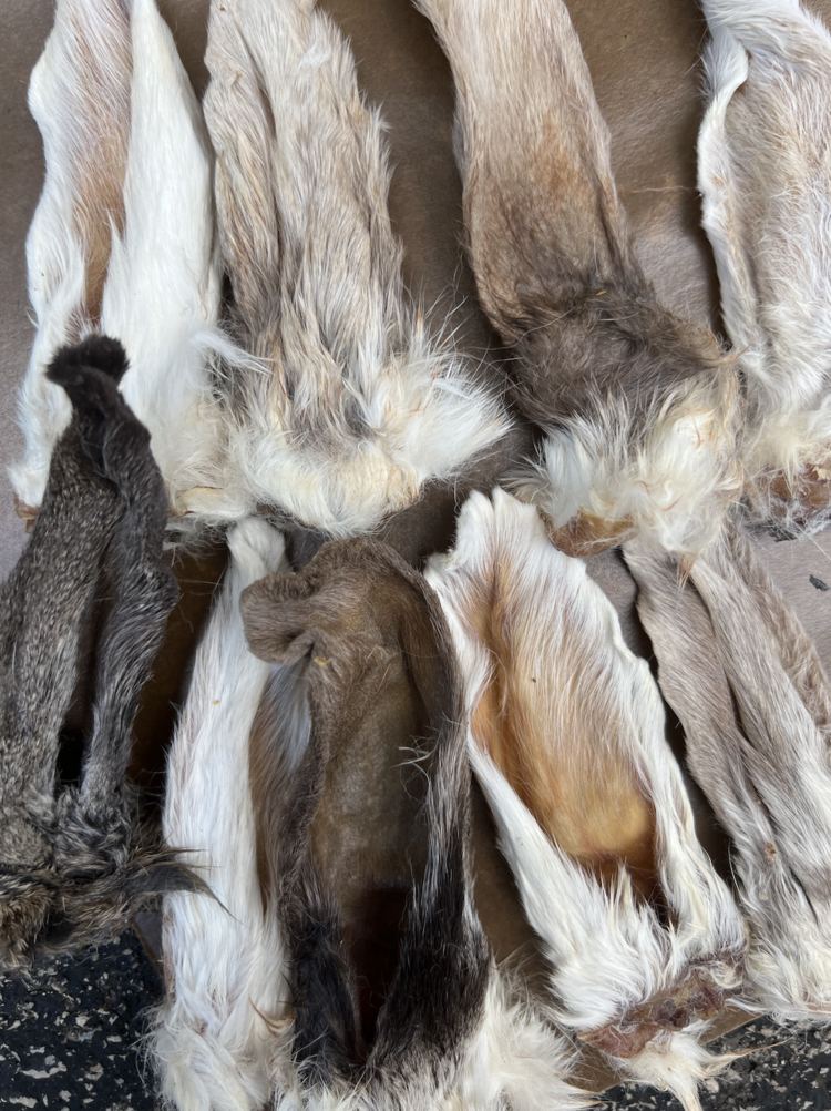 Barnies Artisan Farms - Rabbit Ears (1g)