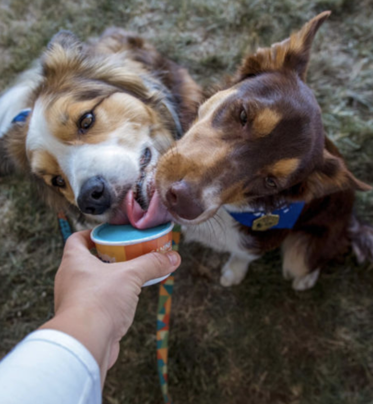 BCR Frozen Goat - Fundae