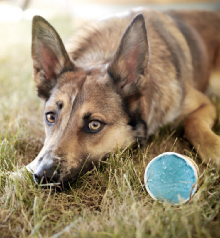 BCR Frozen Goat - Fundae