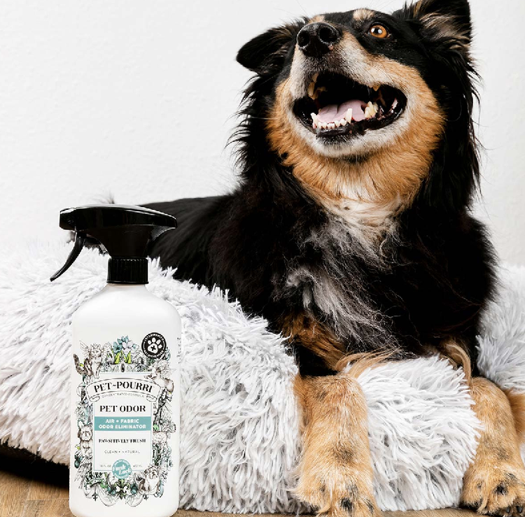 Pet-Pourri Pet-Pourri - 16oz