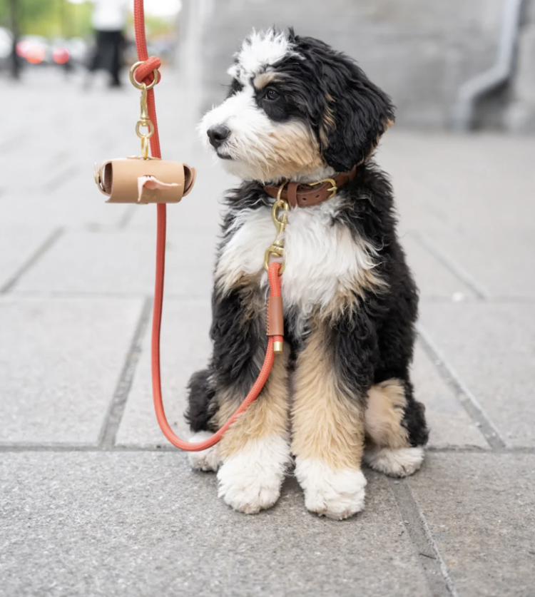 Knotty Pets Knotty Pets - 6' Rope Leash - Peach