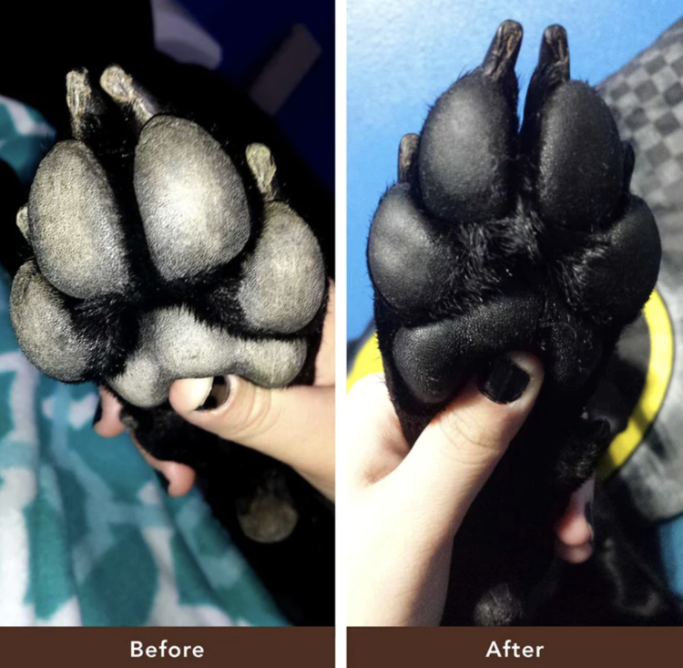 Natural Dog Company Natural Dog Company - Pawtection