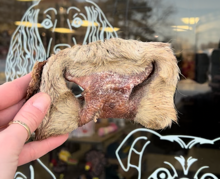 The Proper K9 Proper K9 - Beef Snout (1pc)