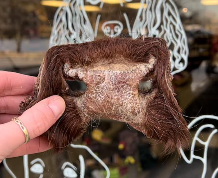 The Proper K9 Proper K9 - Beef Snout (1pc)