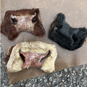 The Proper K9 Proper K9 - Beef Snout (1pc)