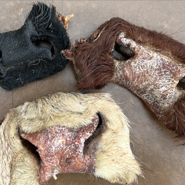 The Proper K9 Proper K9 - Beef Snout (1pc)