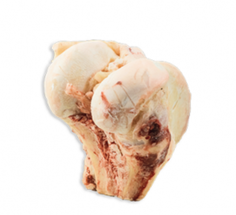 k9 choice K9 Choice - Buffalo Knuckle - 1pc