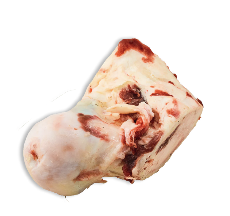 k9 choice K9 Choice - Beef Knuckle (1pc)