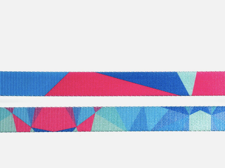 Woof Concept Woof Concept - Ikonic Collar - Prism