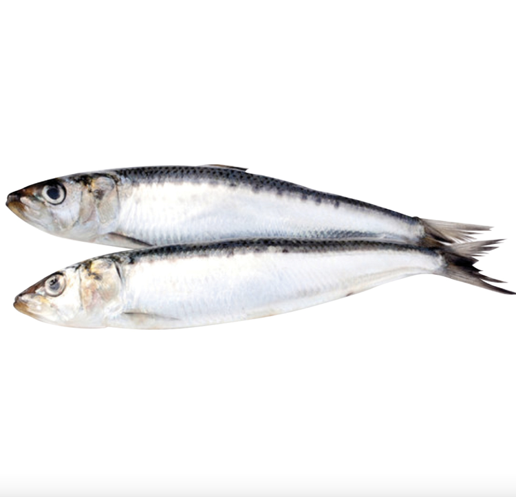 BCR BCR - Frozen Sardines - 1lb