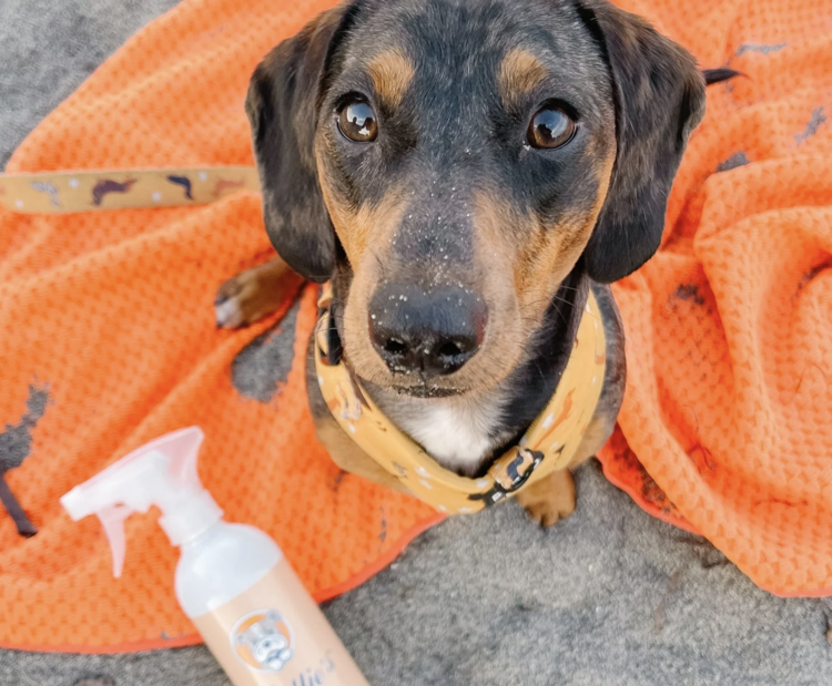 Nellie's Clean Pet Products Nellie's Clean Pet - Double Dry Pet Towel