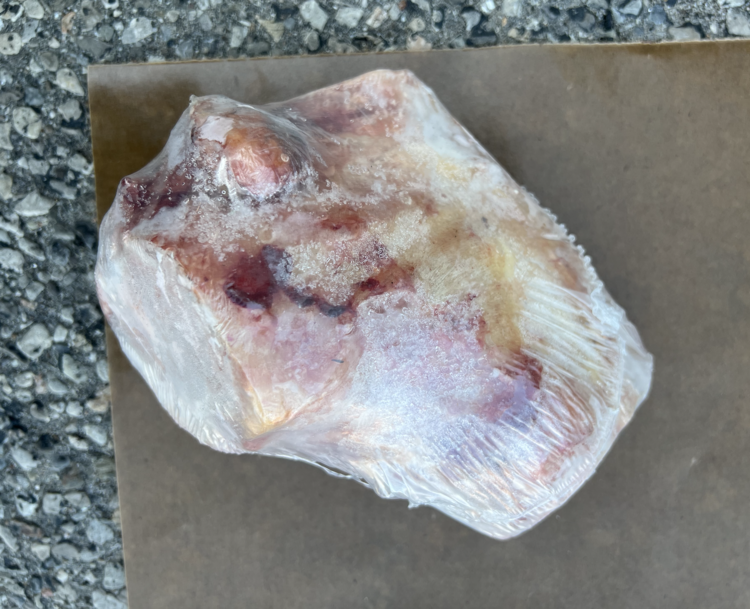 k9 choice K9 Choice - Buffalo Knuckle - 1pc