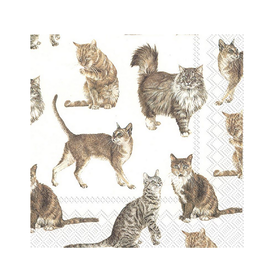 Abbott Paper Napkins - Cats - 20pk