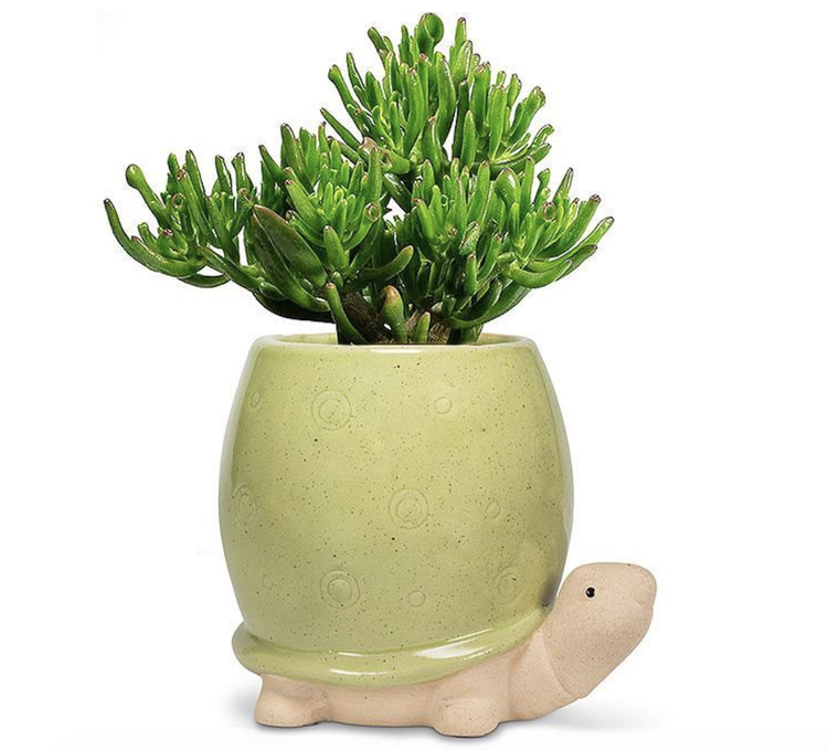 Abbott Planter - Tall Green Turtle