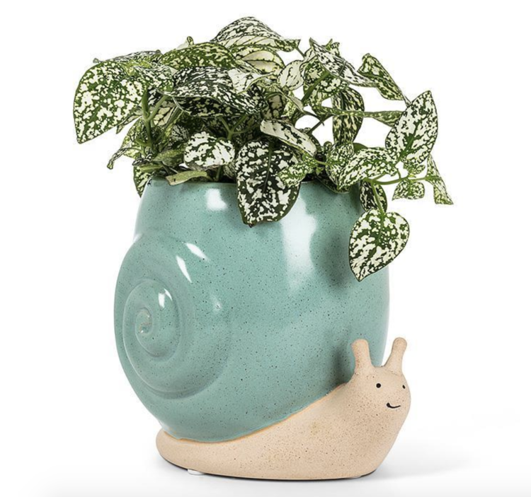 Abbott Planter - Tall Turquoise Snail