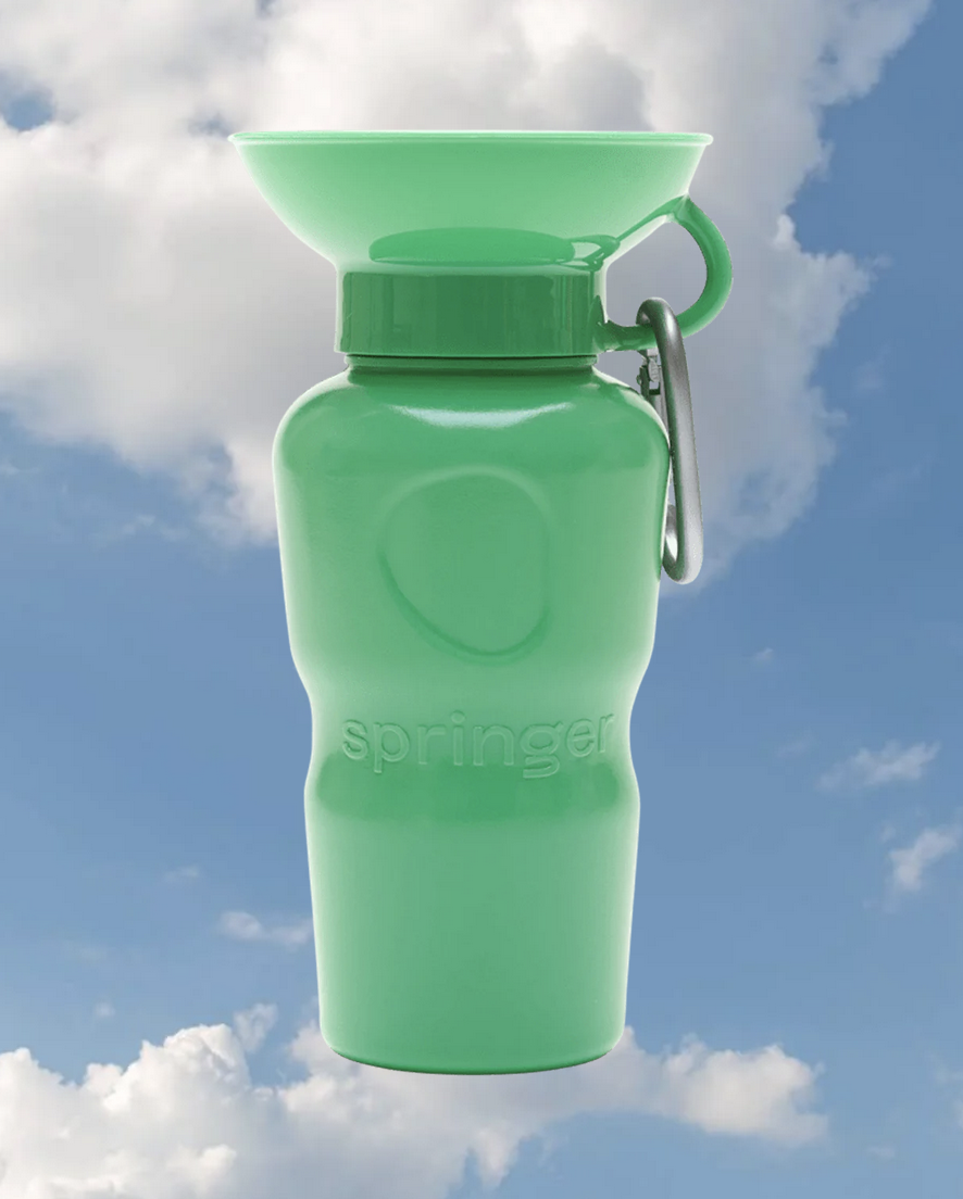 Springer Springer - Travel Bottle - Springer Green - Classic - 22oz