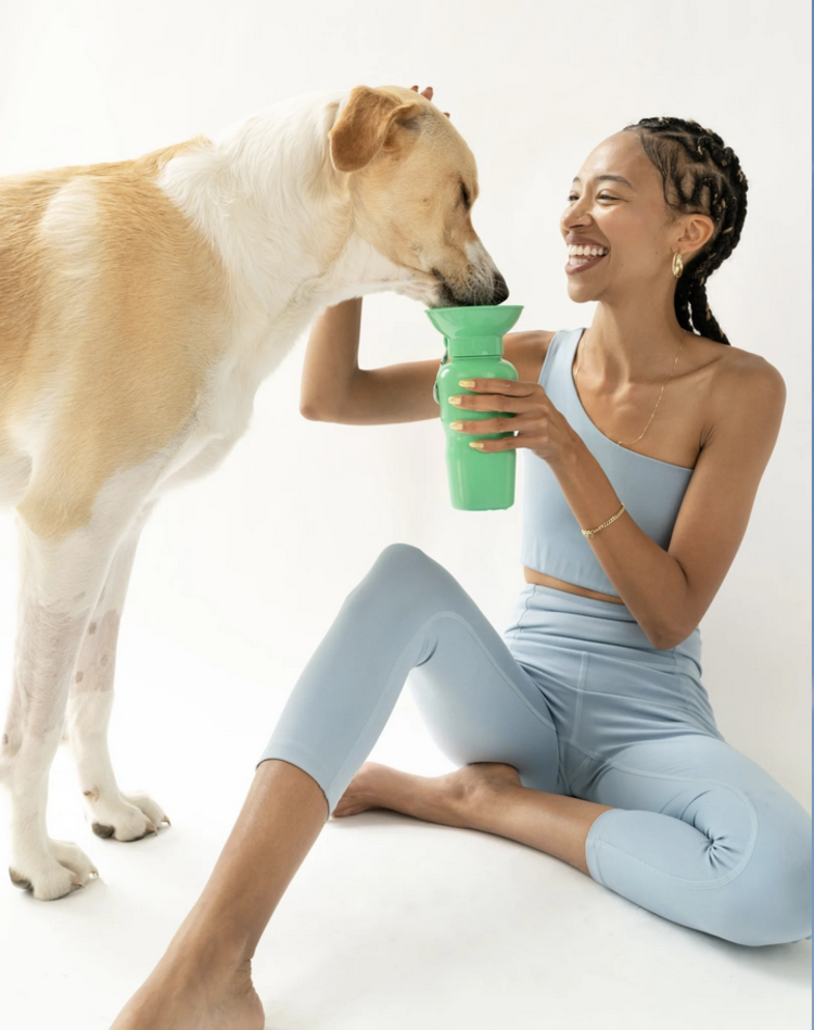 Springer Springer - Travel Bottle - Springer Green - Classic - 22oz