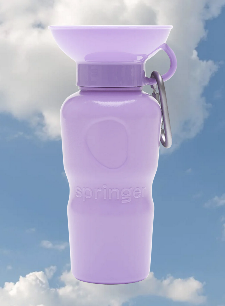 Springer Springer - Travel Bottle - Lilac - Classic - 22oz