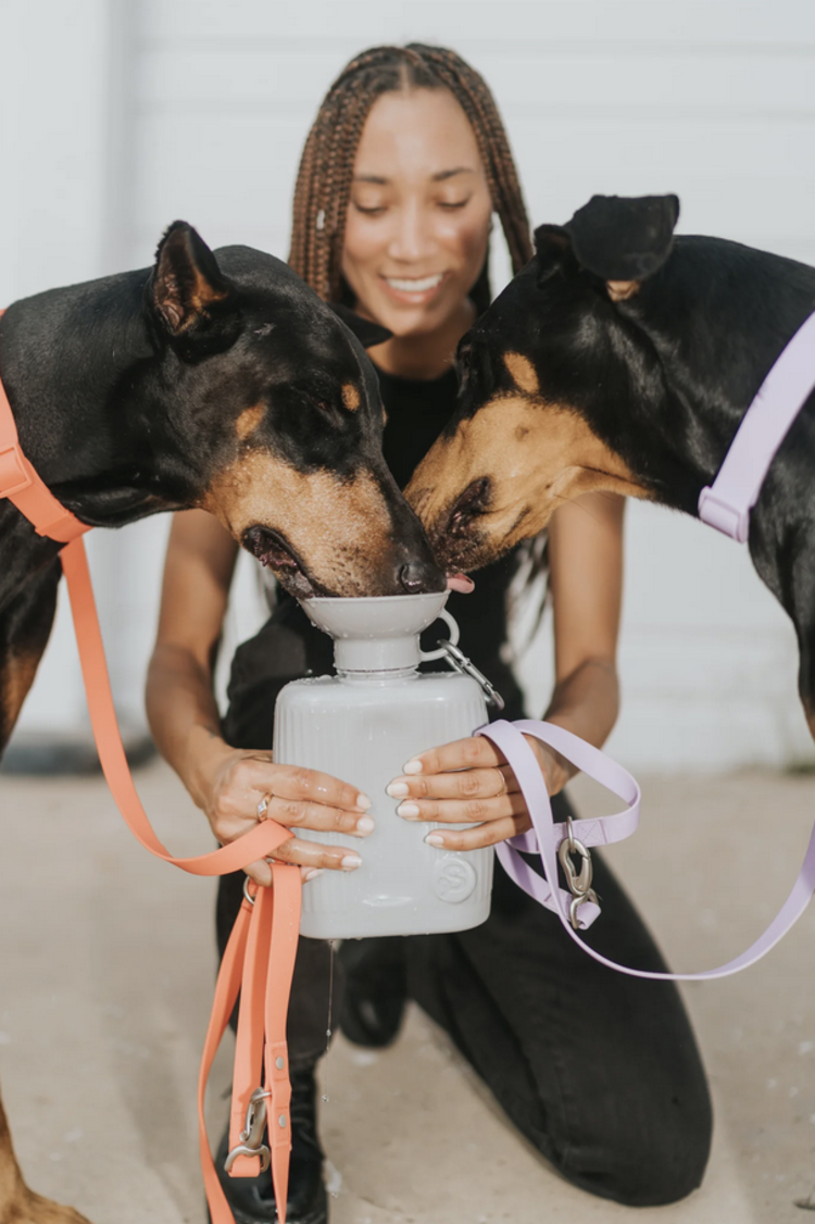 Springer Springer - Travel Bottle - Grey