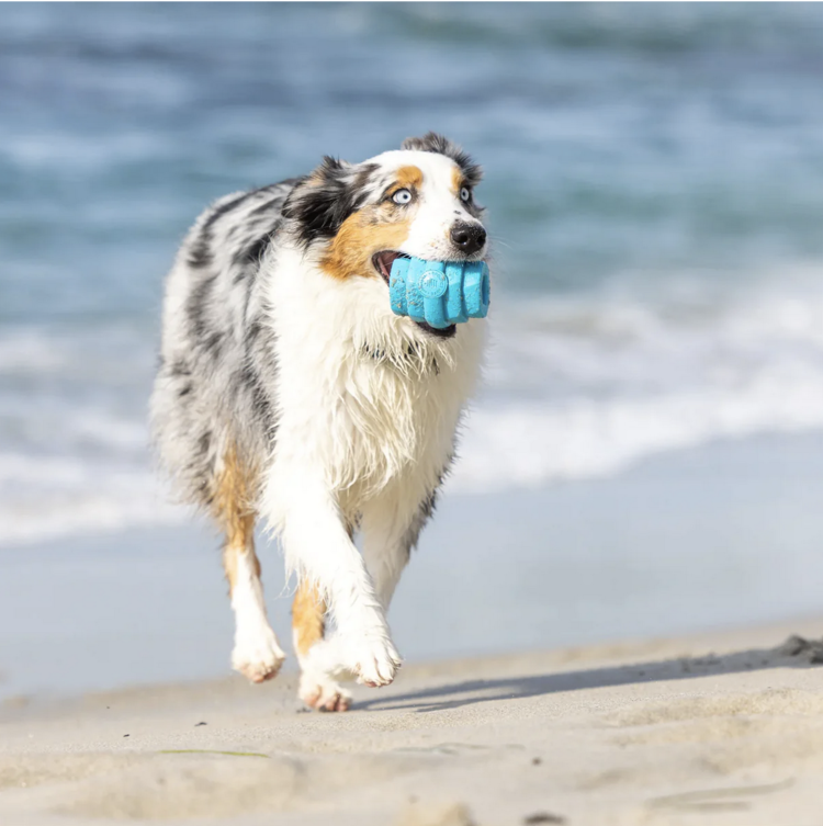 Project Hive Pet Company Project Hive - Scented Chew Toy Vanilla