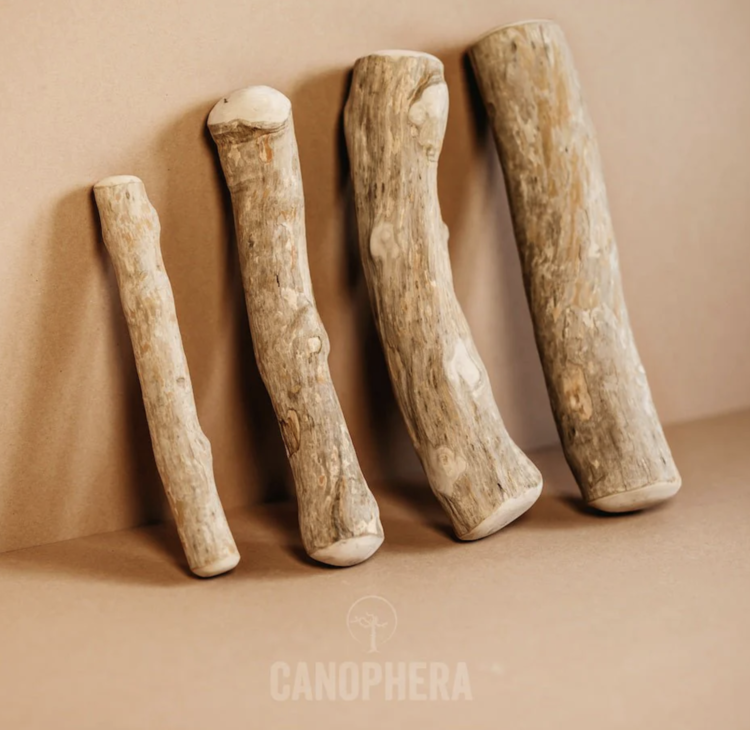 Canophera Canophera Chew