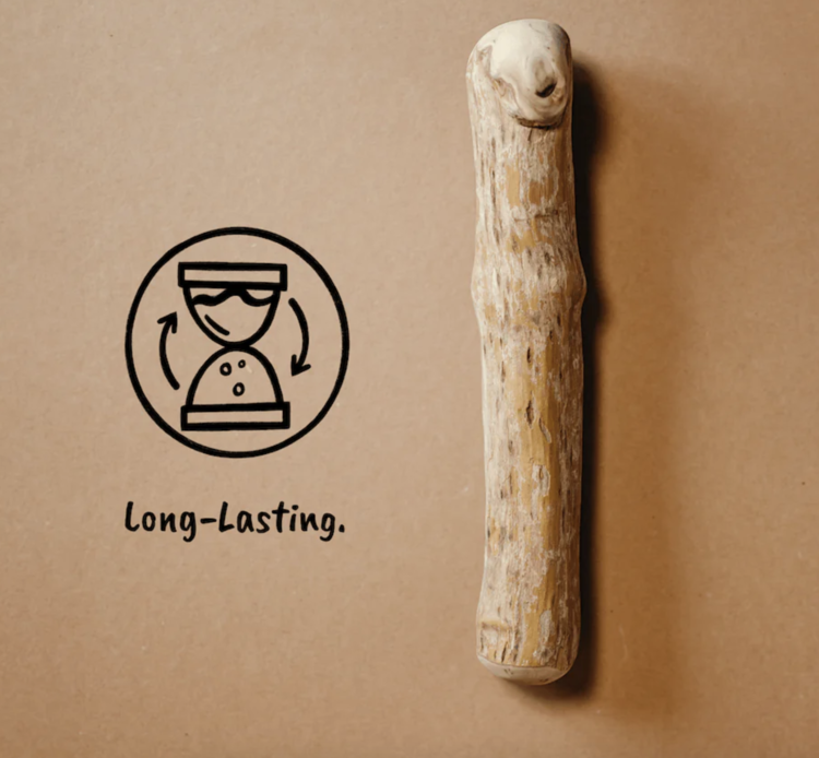 Canophera Canophera Chew